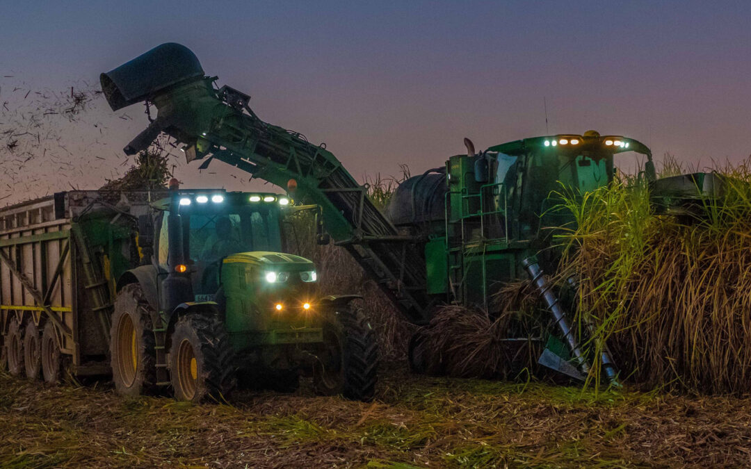 Procurement no Agro